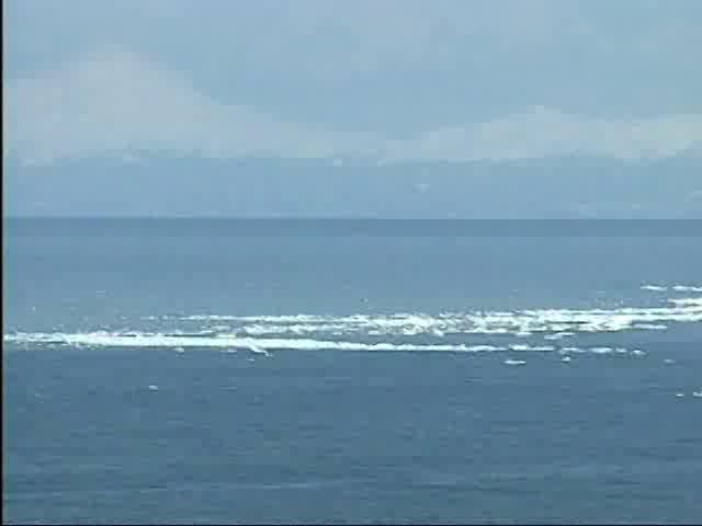 能取岬の流氷