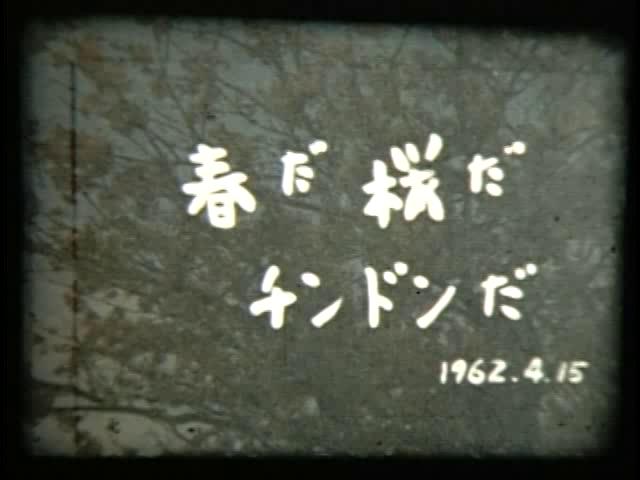 第8回桜まつり 全国チンドンコンクール