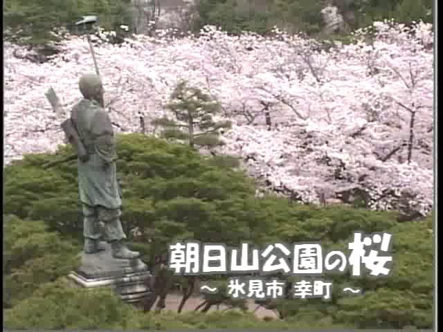 [004] 030414 朝日山公園の桜