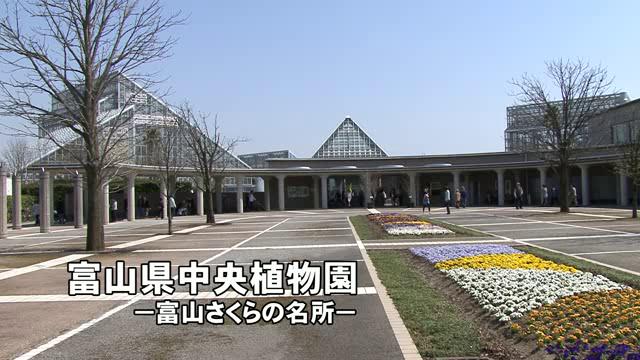 [397] 110414 富山県中央植物園