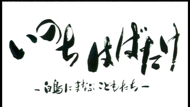 いのちはばたけ　～白鳥に学ぶこどもたち～