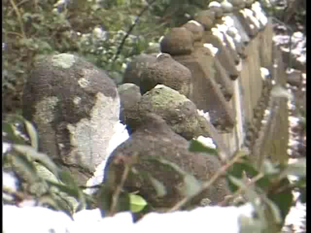 [039] 040307 日曜散歩 呉羽山・五百羅漢・庄川 02/04