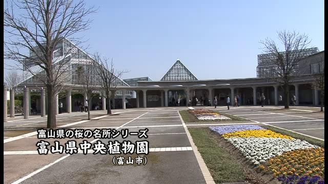 [404] 110414 富山県中央植物園