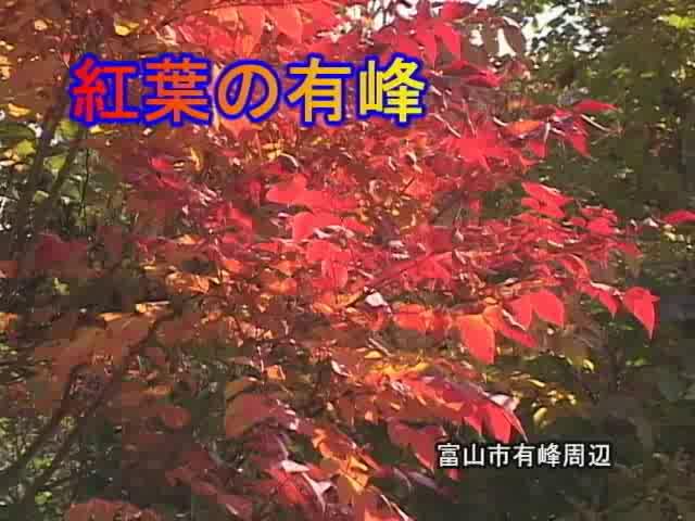 [240] 071023 紅葉の有峰