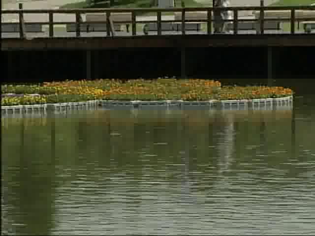 太閤山あじさい祭り