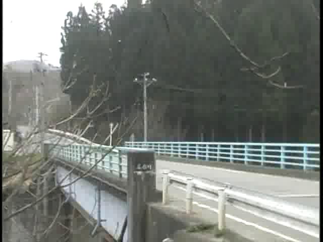 060419 やつおの野に咲く 愛らしいカタカゴの花