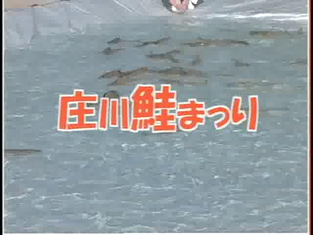 [069] 031101 庄川鮭まつり