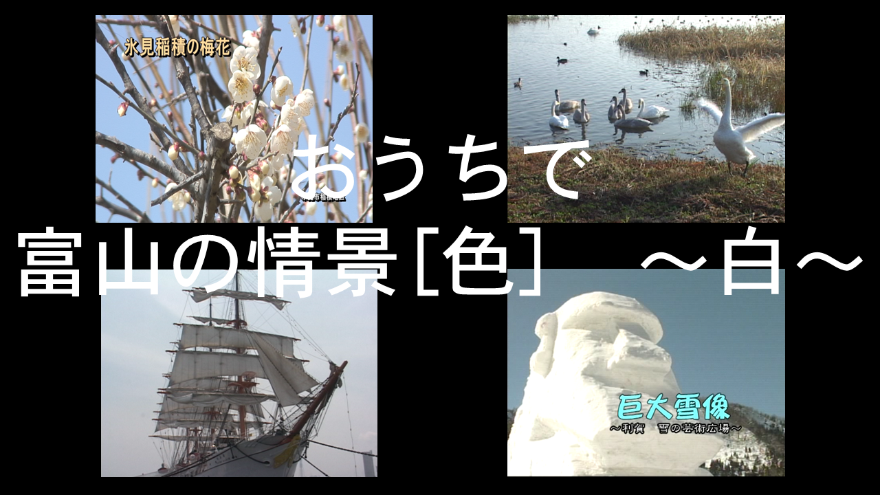 魚津市　上村木七夕まつり｜平成25年度「とやま映像コンクール ふるさと部門」優秀賞