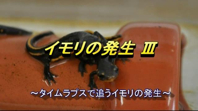 イモリの発生Ⅲ～タイムラプスで追うイモリの発生～ [更新版]｜平成26年度「とやま映像コンクール 自作視聴覚部門」学校教育の部　優秀賞