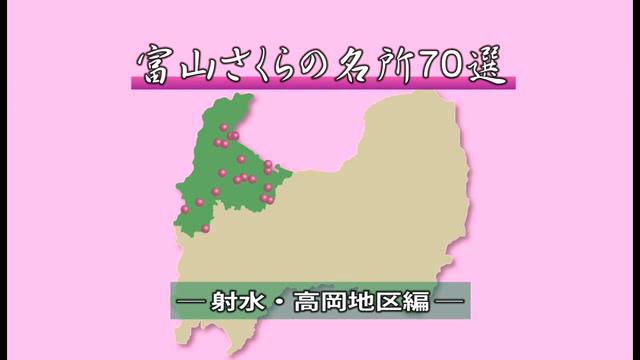 [484] 富山さくらの名所70選　射水・高岡地区編　
