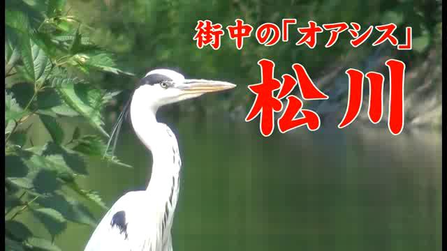 街中の「オアシス」松川｜平成26年度「とやま映像コンクール ふるさと部門」奨励賞