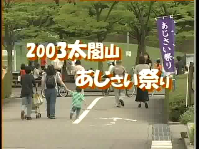太閤山あじさい祭り2003