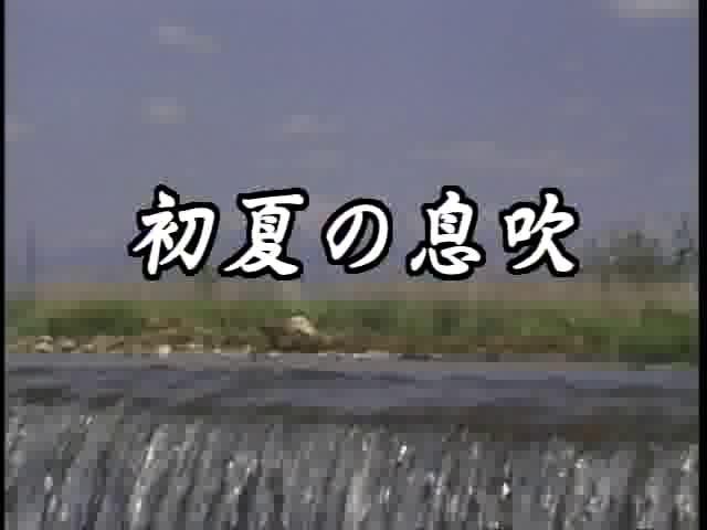 初夏の息吹 | 平成12年度「ふるさと発見！ビデオコンテスト」ビデオグランプリ