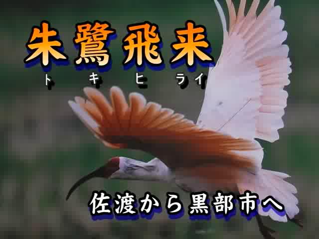 朱鷺飛来 | 平成21年度「とやま映像コンクール　ふるさと部門」優良賞