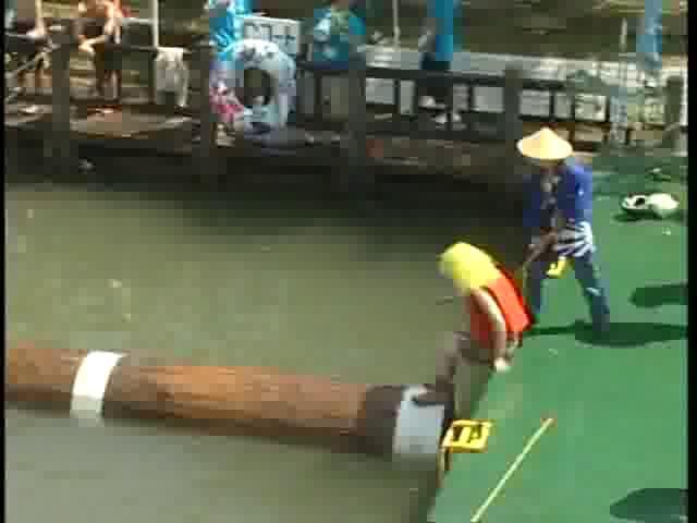 流木乗り選手権大会　－庄川水まつり－
