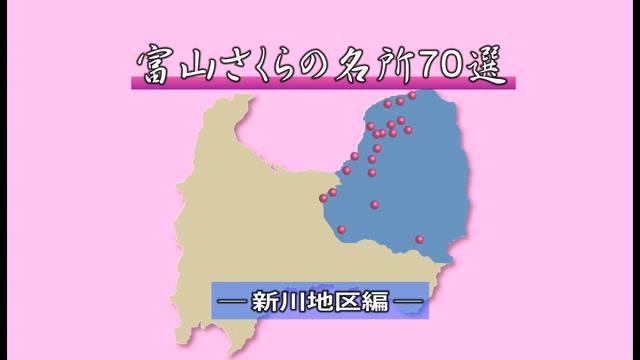 [482] 富山さくらの名所70選　新川地区編