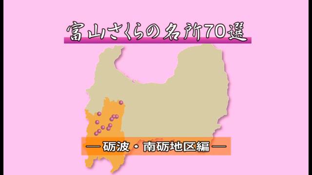 [485] 富山さくらの名所70選　砺波・南砺地区編