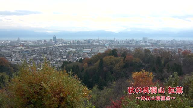 [516]191127秋の呉羽山_紅葉