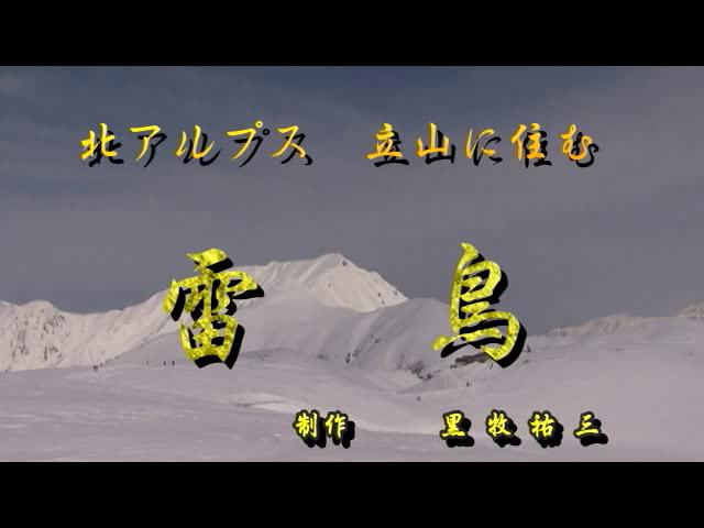 北アルプス立山に住む雷鳥 | 平成23年度「とやま映像コンクール 自作視聴覚部門」　生涯学習・社会教育の部　優秀賞