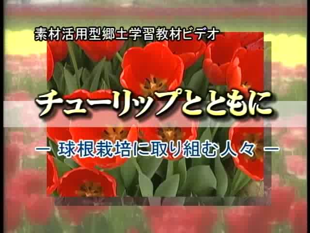 チューリップとともに　ー球根栽培に取り組む人々ー（本編）