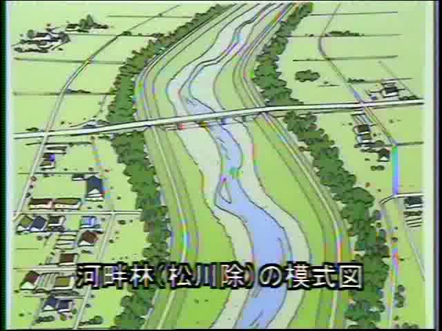 庄川と人々の暮らし 資料編 8 河畔林の図