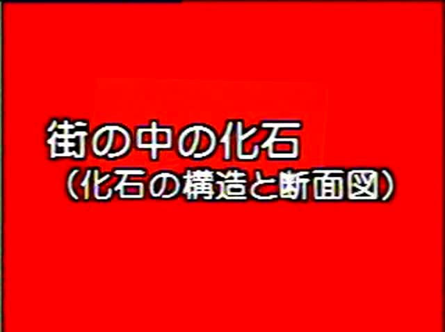 大地のつくり 素材11