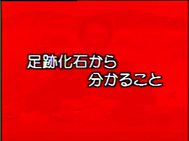 大地のつくり 素材23