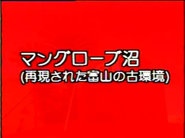 大地のつくり 素材26