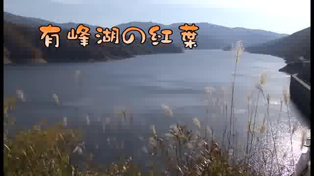 [276] 081016 有峰湖の紅葉