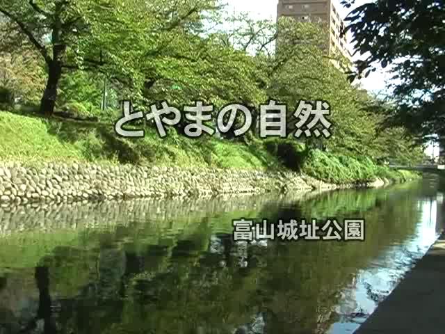 とやまの自然  | 平成20年度「とやま映像コンクール　ふるさと部門」チャレンジ賞