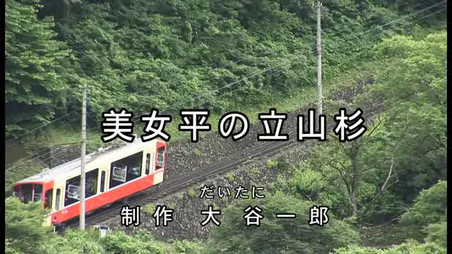 美女平の立山杉 | 平成23年度「とやま映像コンクール ふるさと部門」奨励賞