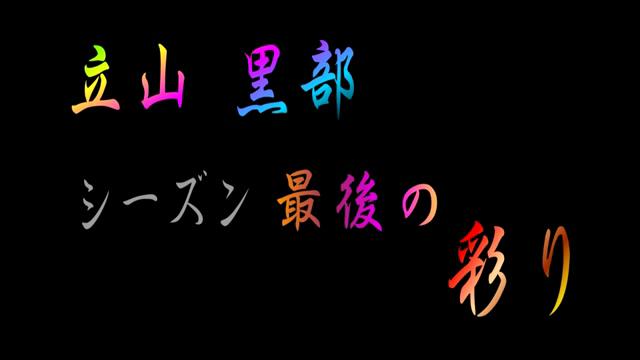 立山 黒部　シーズン最後の彩り [更新版]｜平成26年度「とやま映像コンクール ふるさと部門」奨励賞