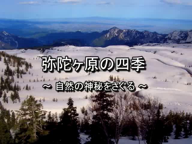 弥陀ヶ原の四季 ～自然の神秘を探る～ | 平成18年度「富山県自作視聴覚教材コンクール」 奨励賞