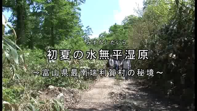 初夏の水無平湿原　～富山県南砺市利賀村の秘境～ | 平成22年度「とやま映像コンクール ふるさと部門」奨励賞