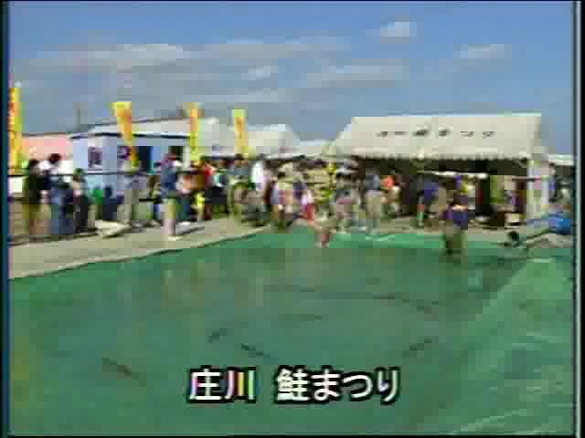 庄川と人々の暮らし 素材編 15 庄川鮭まつり