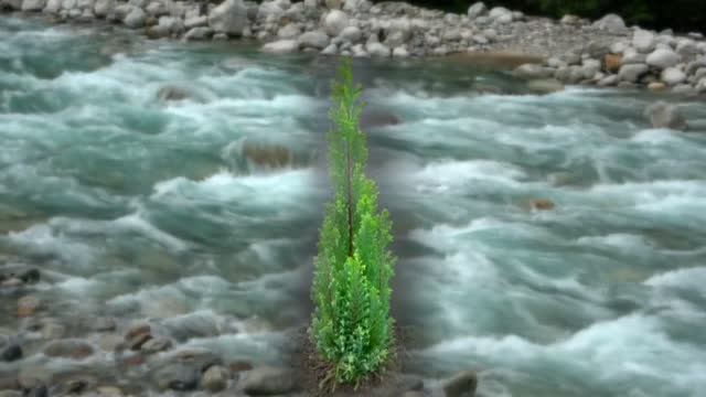 水の王国とやま　「命をつなぐ水」を未来へ