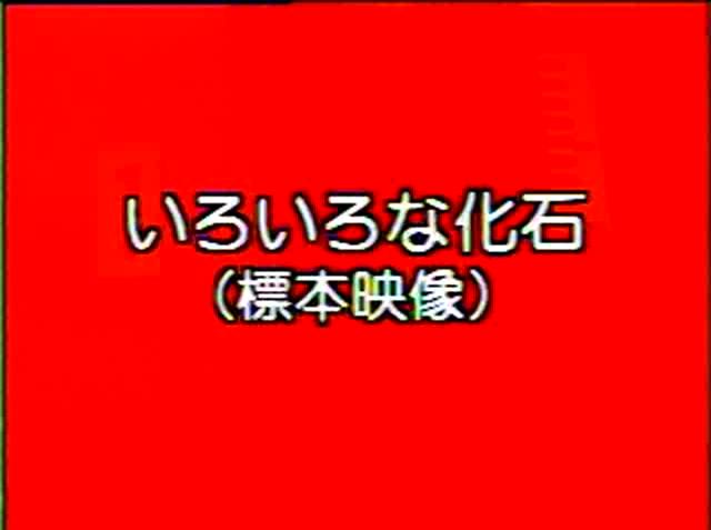 大地のつくり 素材10