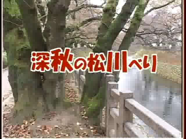 [036] 031108 深秋の松川べり