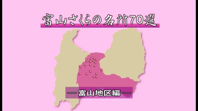 [483] 富山さくらの名所70選　富山地区編