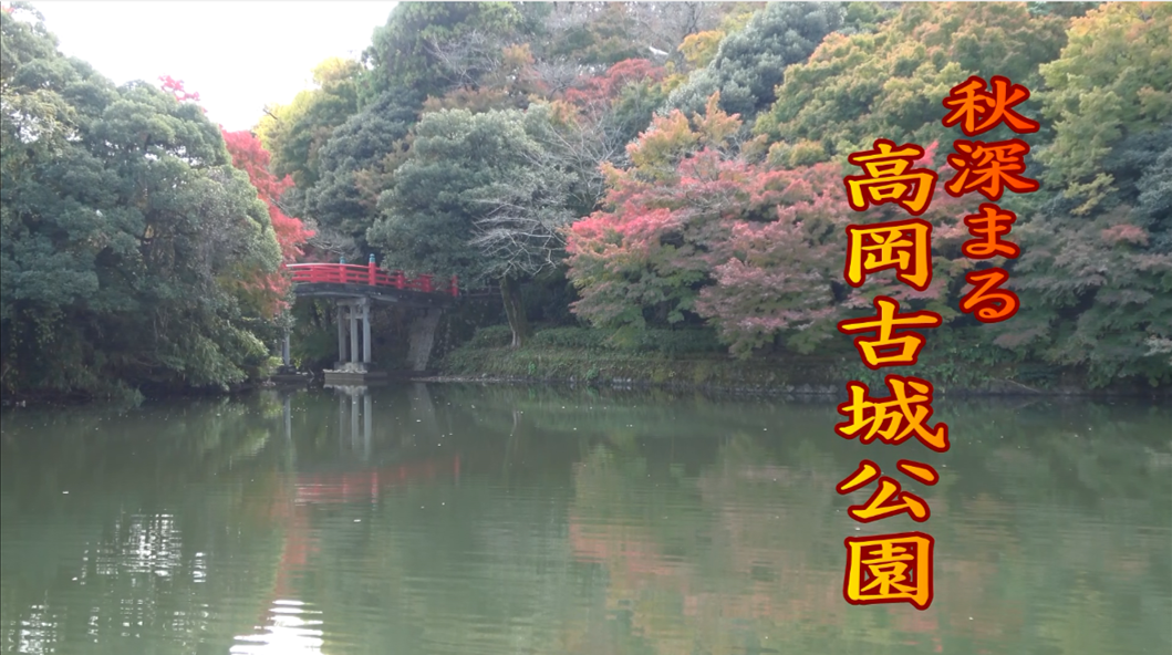 [527] 241124 秋深まる高岡古城公園