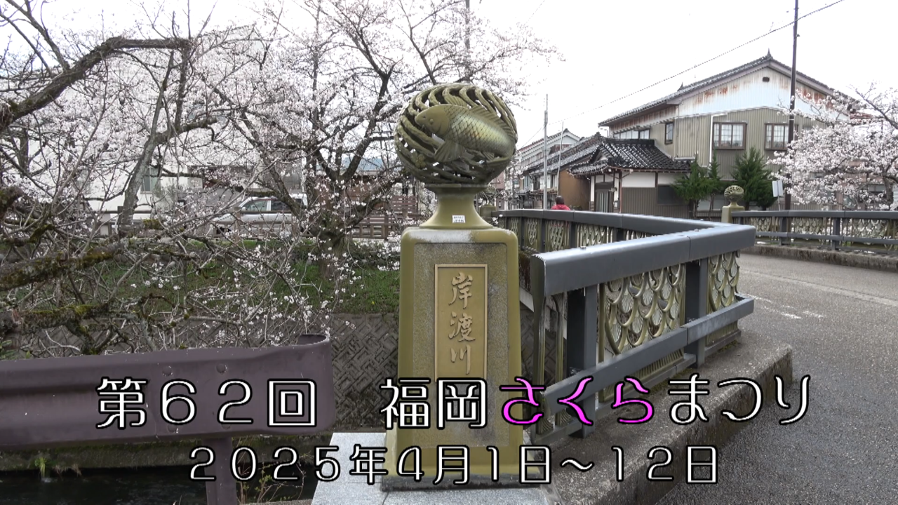 [536] 250405 第62回福岡さくらまつり
