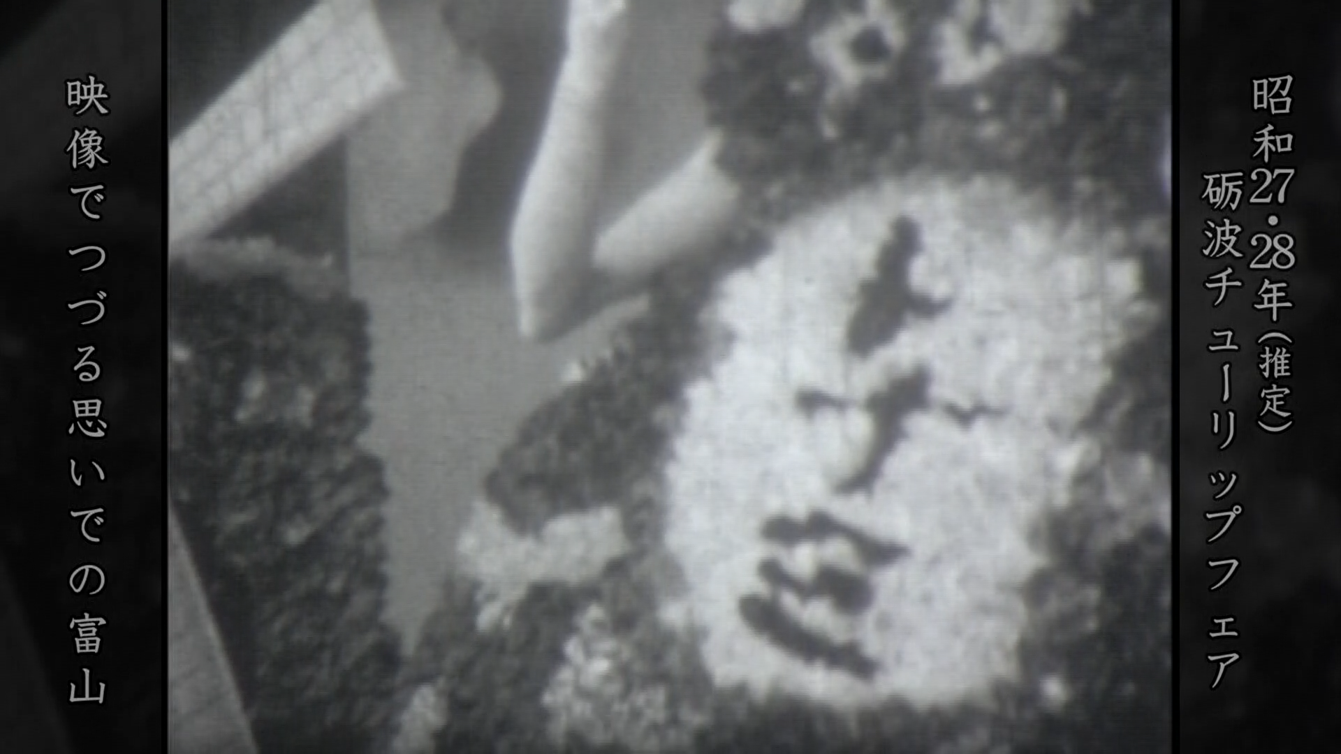 砺波チューリップフェアから宇奈月トロッコ電車（昭和27年・28年頃推定）