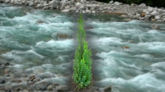 水の王国とやま　「命をつなぐ水」を未来へ
